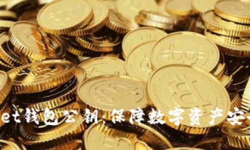 TokenPocket钱包公钥：保障数字资产安全的重要性