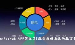 TokenPocket APP消失了？教你