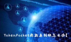 TokenPocket收款未到账怎么办