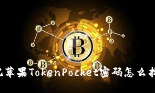 忘记苹果TokenPocket密码怎么找回？