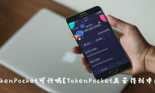 中国土壤上TokenPocket可行吗？TokenPocket是否得到中国政府的支持？