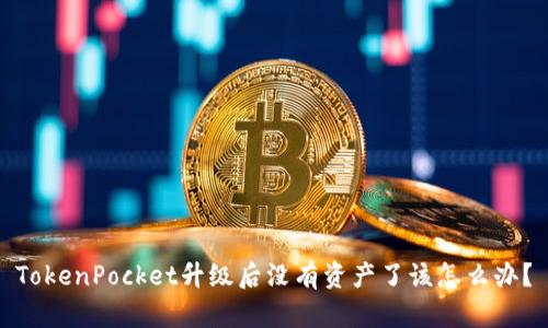 TokenPocket升级后没有资产了该怎么办？