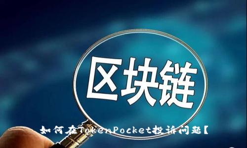 如何在TokenPocket投诉问题？